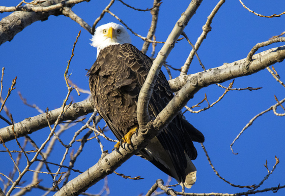 Ottawa National Wildlife Refuge