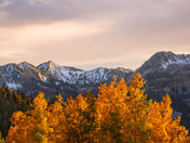 Uintah-Wasatch-Cache National Forest