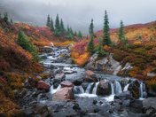 Mt Rainier National Park