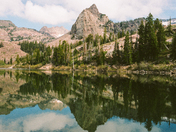 Uintah-Wasatch-Cache National Forest