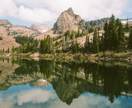 Uintah-Wasatch-Cache National Forest