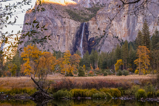 Yosemite National Park