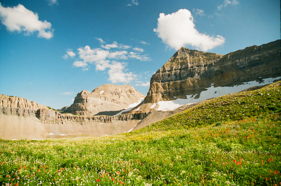 Mount Timpanogos Wilderness