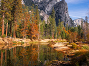 Yosemite National Park 