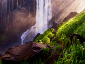 Yosemite National Park 