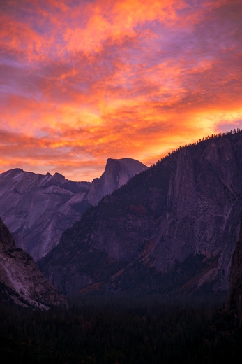 Yosemite National Park 
