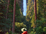 Yosemite National Park 