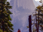 Yosemite National Park 