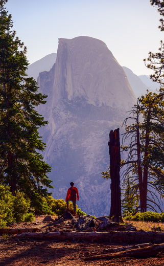 Yosemite National Park 