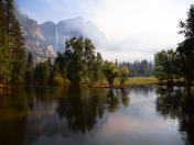 Yosemite National Park 