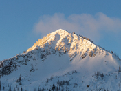 Uintah-Wasatch-Cache National Forest