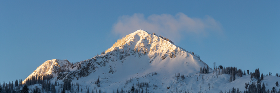 Uintah-Wasatch-Cache National Forest