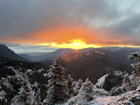 Olympic National Park