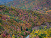 Uintah-Wasatch-Cache National Forest