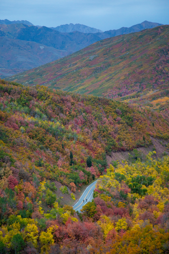 Uintah-Wasatch-Cache National Forest