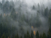 Uintah-Wasatch-Cache National Forest