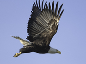 Take off