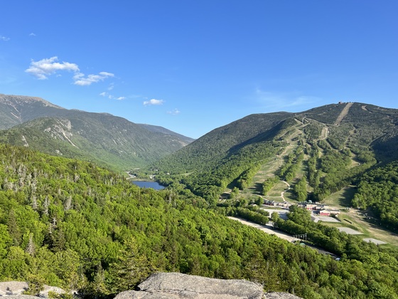 White Mountain National Forest 