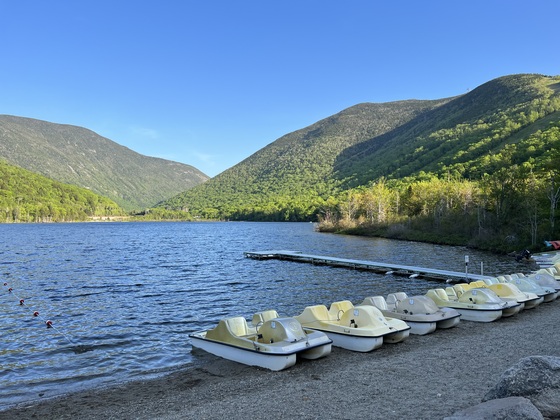 White Mountain National Forest 