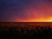 Prettiest Sunrise I've Seen