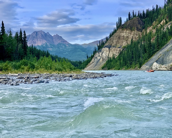 Denali National Park