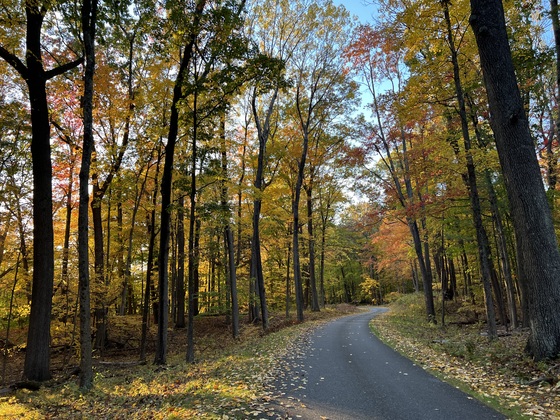Saratoga National Historical Park 