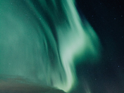 Shining Above the Trees