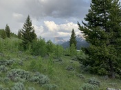Green River Lakes Area in Bridger Wilderness