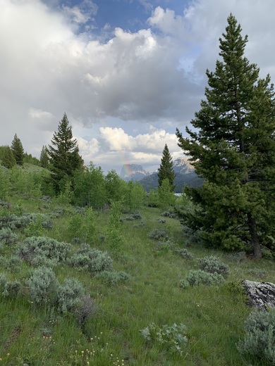 Green River Lakes Area in Bridger Wilderness