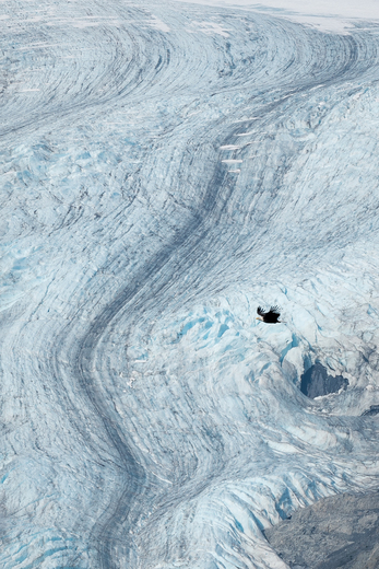 Kenai Fjords National Park