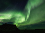 Old House and It's Company