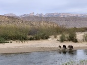 Big Bend National Park