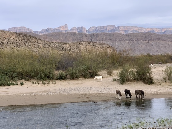 Big Bend National Park