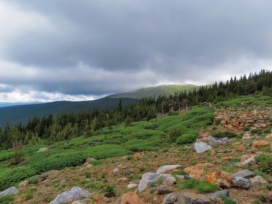 Arapaho & Roosevelt National Forests
