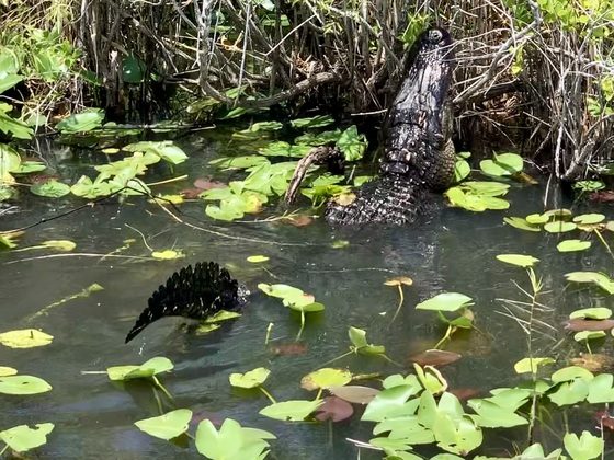 Everglades National Park