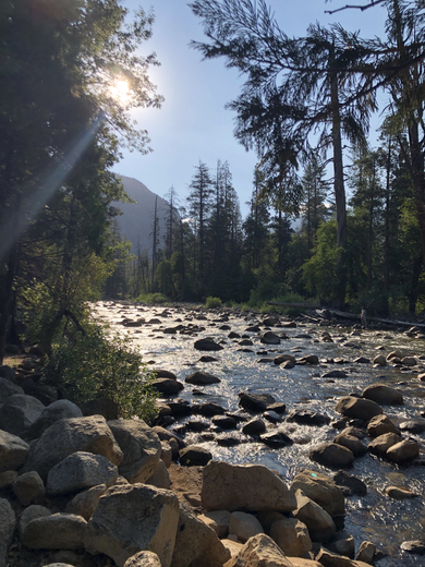 Kings Canyon National Park
