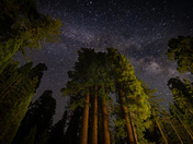 Kings Canyon National Park