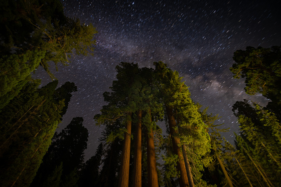 Kings Canyon National Park