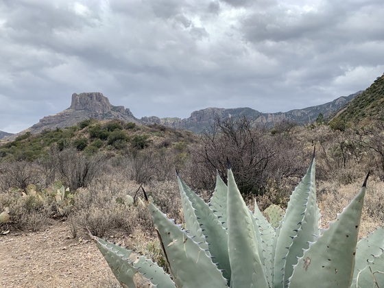 Big Bend National Park