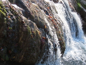 Chickasaw National Recreation Area