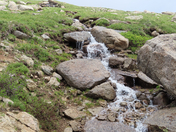 Arapaho and Roosevelt National Forests