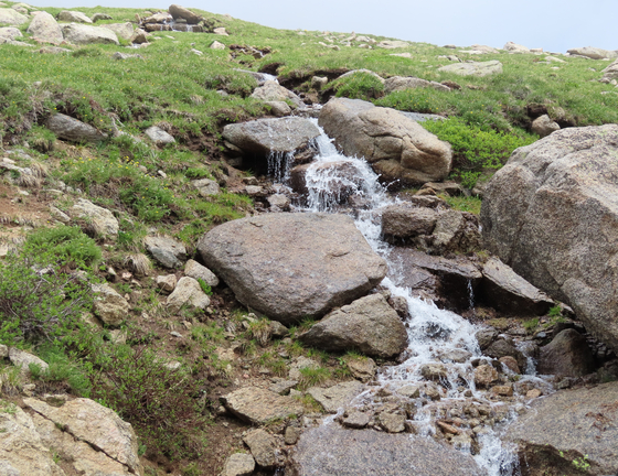 Arapaho and Roosevelt National Forests