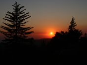 Sequoia National Park