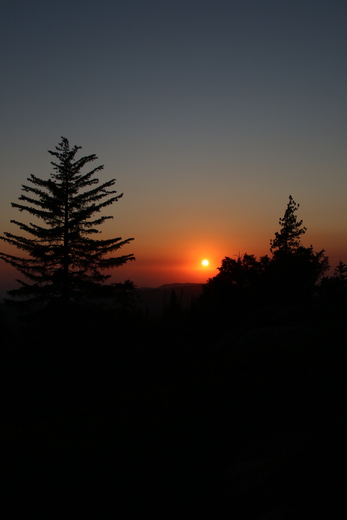 Sequoia National Park