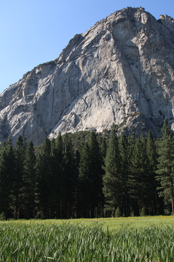 Kings Canyon National Park