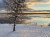 Front Yard, Manitoulin Winter Morning