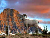 Glacier sunset Ram