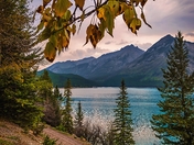 Fall Leaves Framing Lake Minnewanka At Sunrise