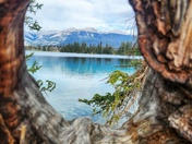 Nature frames herself 