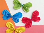 Butterflies